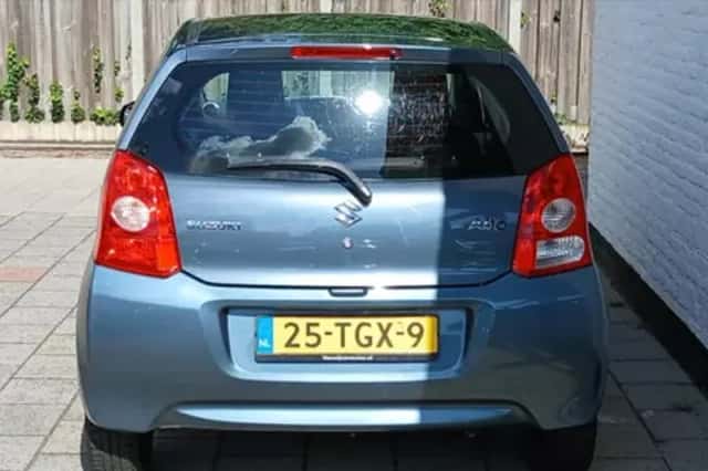 Suzuki Alto (2012) thumbnail 5