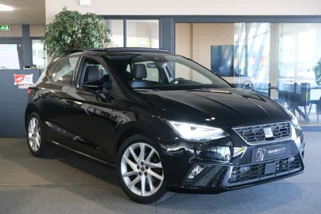 SEAT Ibiza (2022) thumbnail 6