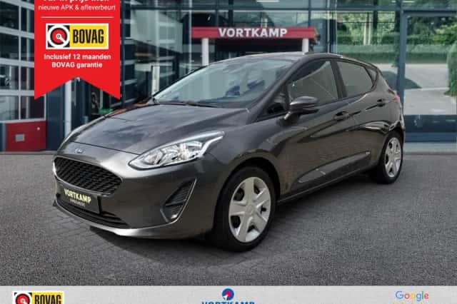 Ford Fiesta (2019) thumbnail 1