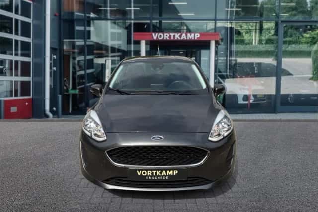 Ford Fiesta (2019) thumbnail 2