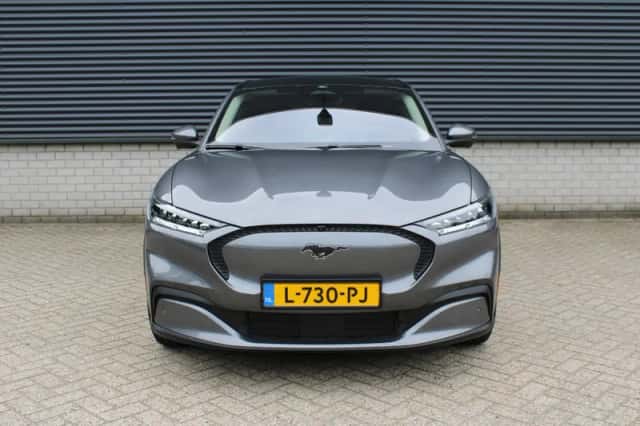 Ford Mustang Mach-E (2021) thumbnail 3