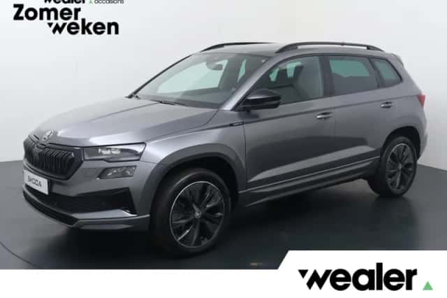 Škoda Karoq (2025) thumbnail 1