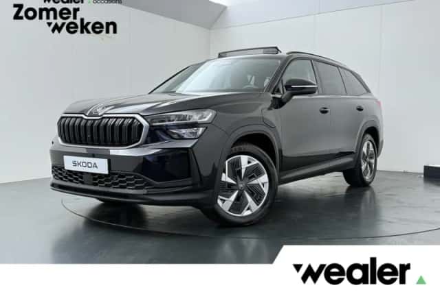 Škoda Kodiaq (2025) thumbnail 1