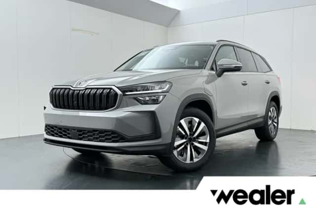Škoda Kodiaq (2026) thumbnail 1