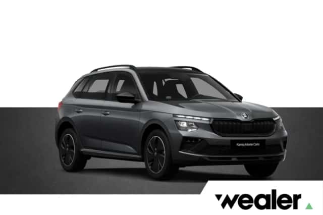 Škoda Kamiq (2027) thumbnail 1