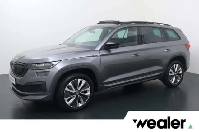 Škoda Kodiaq (2023) thumbnail 1