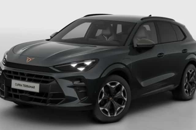 CUPRA Terramar (2026) thumbnail 2