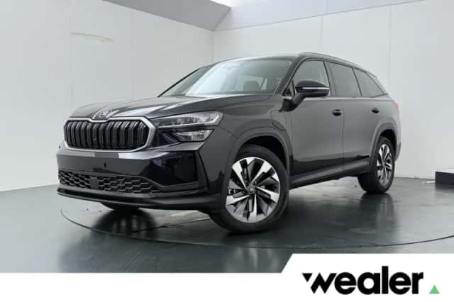 Škoda Kodiaq (2026) thumbnail 1