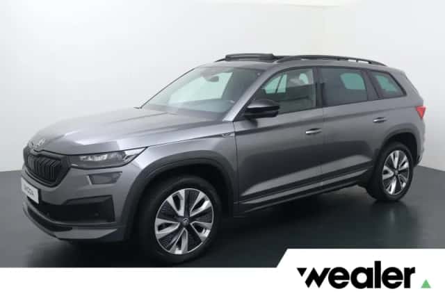 Škoda Kodiaq (2023) thumbnail 1