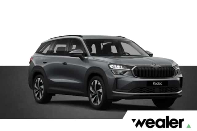 Škoda Kodiaq (2026) thumbnail 1