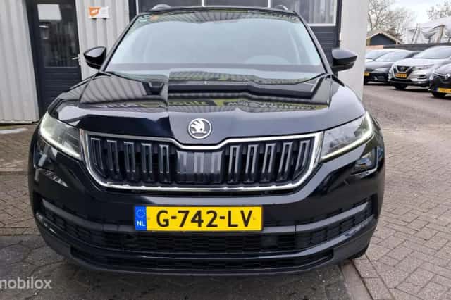 Škoda Kodiaq (2019) thumbnail 2
