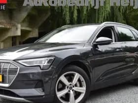 Audi E-tron 50 QUATTRO BUSINESS EDITION 71 kWh