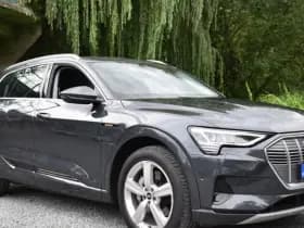 Audi E-tron 50 QUATTRO BUSINESS EDITION 71 kWh thumbnail 11