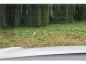 Volkswagen Touareg 3.0 TSi eHybrid ATMOSPHERE 4MOTION thumbnail 38