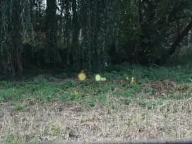 BMW X2 M35iA 306PK HIGH EXECUTIVE M-SPORT thumbnail 18