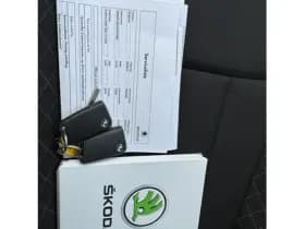 ŠKODA Kamiq 1.0 TSI 110PK Ambition thumbnail 21