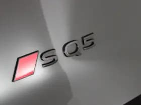 Audi SQ5 3.0 TFSI V6 367pk quattro Luchtvering Head-Up Panoramadak Keyless 360Camera Memory Matrix Led thumbnail 54
