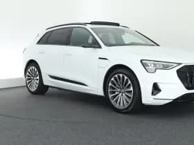 Audi E-tron e-tron 55 408pk quattro advanced 95 kWh SOH 91% Trekhaak 360Camera Cameraspiegels B&O Leder Keyless Head-Up Memory Panoramadak Navigatie thumbnail 17