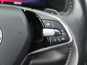 Škoda Kodiaq 1.5 TSI 150pk DSG Sportline Business 7Pers. Keyless Stoelverwarming Camera Memory Virtual Cockpit Navigatie thumbnail 19