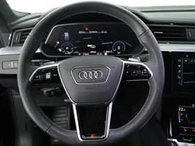 Audi e-tron thumbnail 19