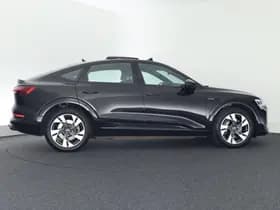 Audi e-tron thumbnail 10
