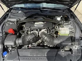 Ford Mustang thumbnail 14