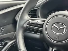 Mazda CX-30 thumbnail 19