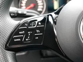 Mercedes-Benz Vito 116 CDI L2 Automaat thumbnail 12