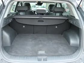 Kia Sportage 1.6 T-GDi MHEV DYNAMICLINE thumbnail 18