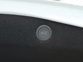 Tesla Model thumbnail 17