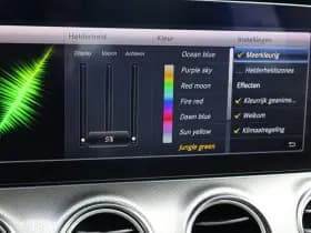 Mercedes-Benz E-Klasse Estate 200 Business thumbnail 9