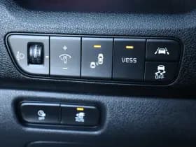 Kia E-Niro DynamicPlusLine 64 kWh thumbnail 19