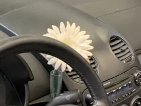 Volkswagen New Beetle Cabriolet 2.0 Highline thumbnail 10