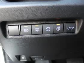 Toyota RAV4 2.5 Hybrid AWD Bi-Tone thumbnail 21
