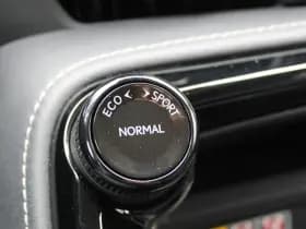 Lexus NX 450h+ AWD Luxury Line thumbnail 29