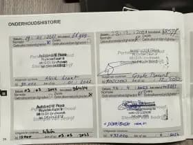 DS 3 1.2 PureTech 110PK So Chic thumbnail 29