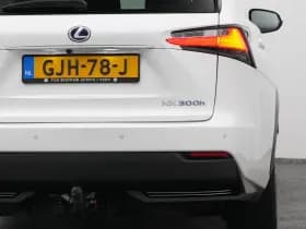 Lexus NX thumbnail 20