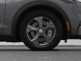Ford Mustang thumbnail 43