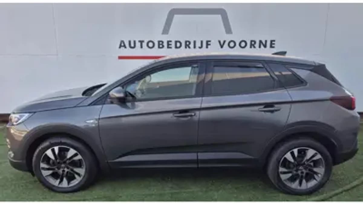 Opel Grandland 1.2 Turbo 130pk S&amp;S Aut 120 Jaar Edition — foto 1