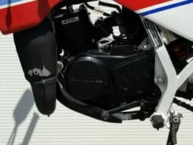 Honda MTX 125 R MTX 125 R Rally Sport | TC02 thumbnail 16