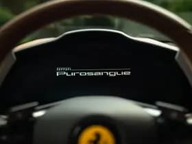 Ferrari Purosangue 6.5 V12 thumbnail 40
