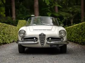 Alfa Romeo Giulia thumbnail 17