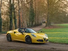 Alfa Romeo Romeo 4C Spider 1750TBI TCT thumbnail 18