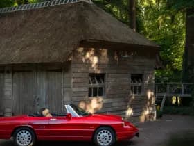 Alfa Romeo Romeo Spider 2.0 QV thumbnail 21