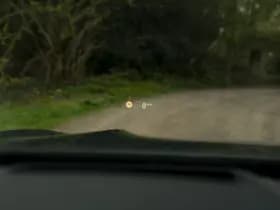 BMW 8-Serie thumbnail 38