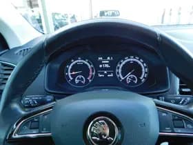 Škoda Karoq thumbnail 17