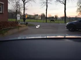 Audi A6 thumbnail 45