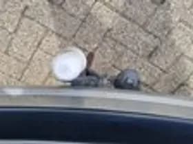 Ford Fusion thumbnail 8