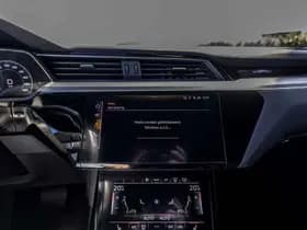 Audi e-tron thumbnail 29