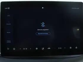 BYD Dolphin thumbnail 35